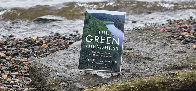 the Green Amendment book